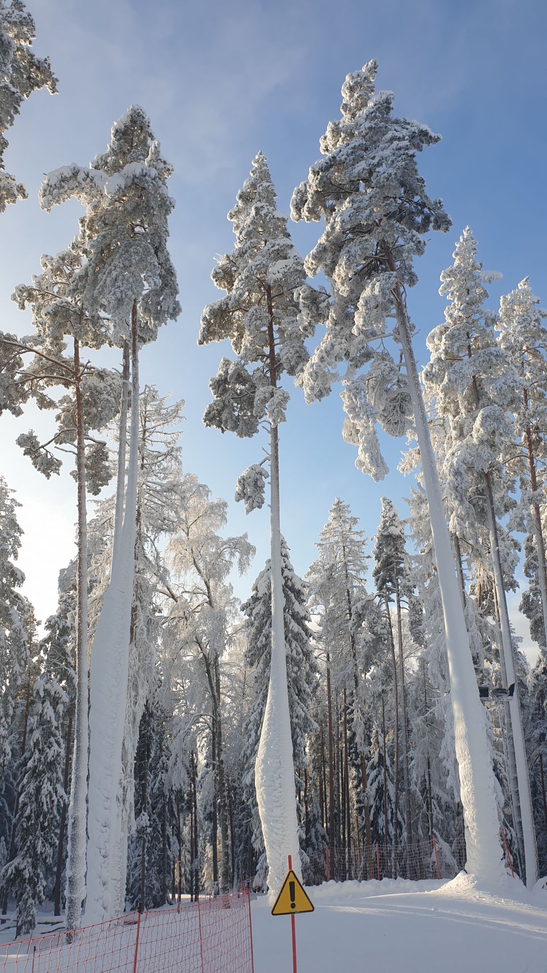 Discover Skiing in Latvia: Best Skiing Mountains and Resorts in Latvia, 2025.