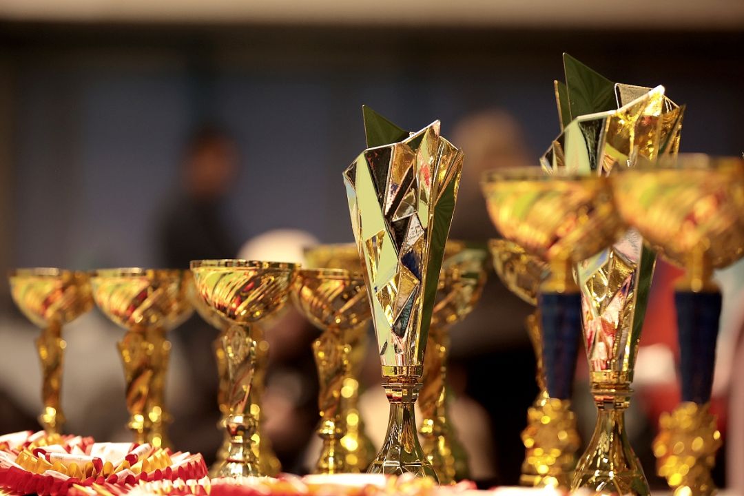 Dog shows in Estonia in 2025.